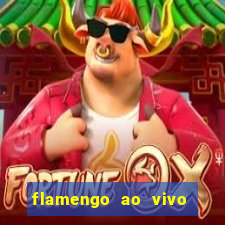 flamengo ao vivo hd play